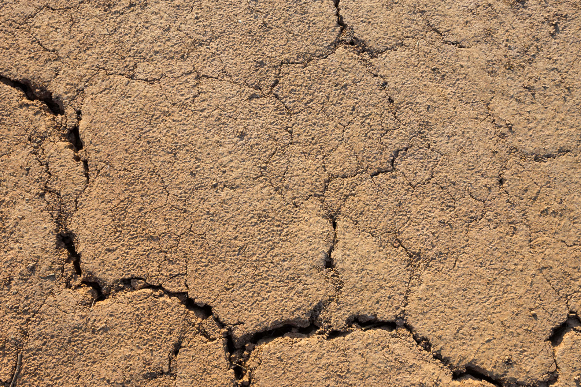 Risico’s bij het overslaan bouwkundige keuring Wat zijn de risico's bij het overslaan van een bouwkundige keuring