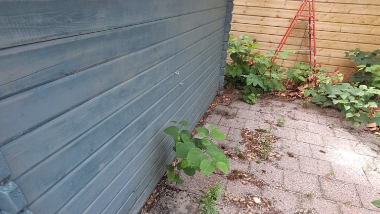 Exotenscan bij woningkoop
